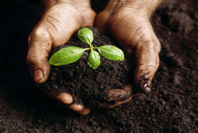 Child psychotherapy Cardiff - nurturing growth and healing through therapy